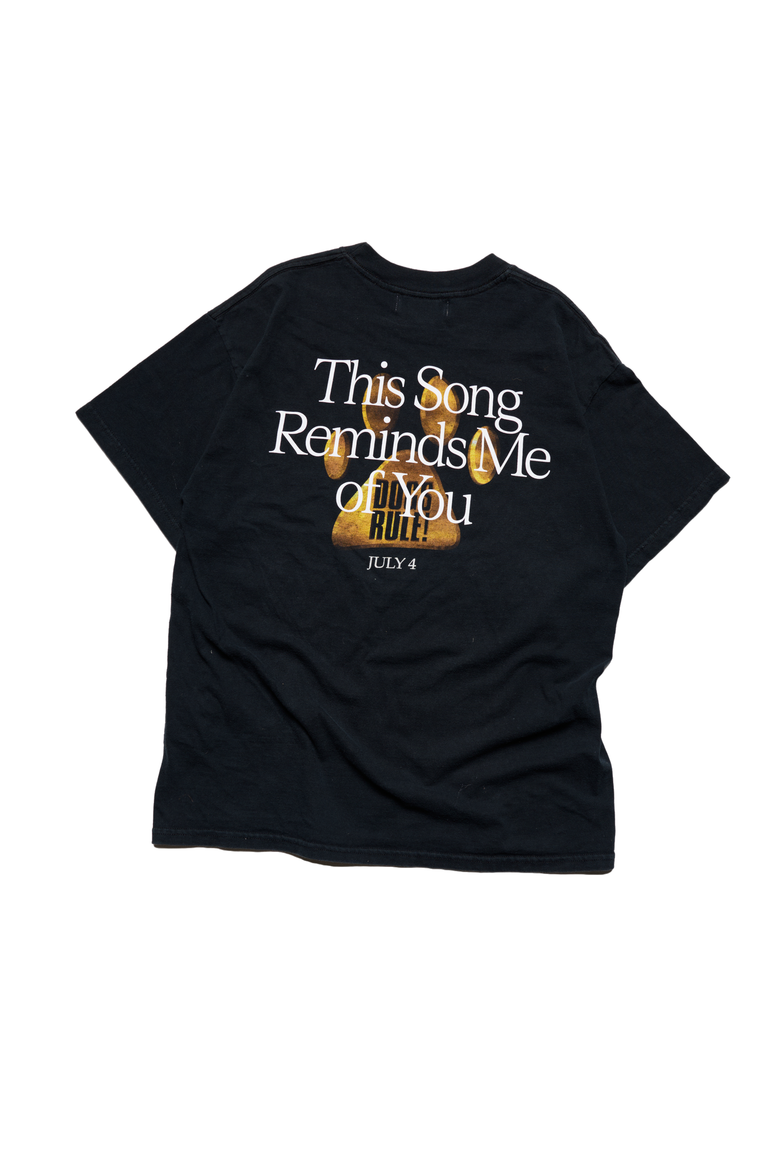 This Song Reminds Me Of You Cats and Dogs Tee