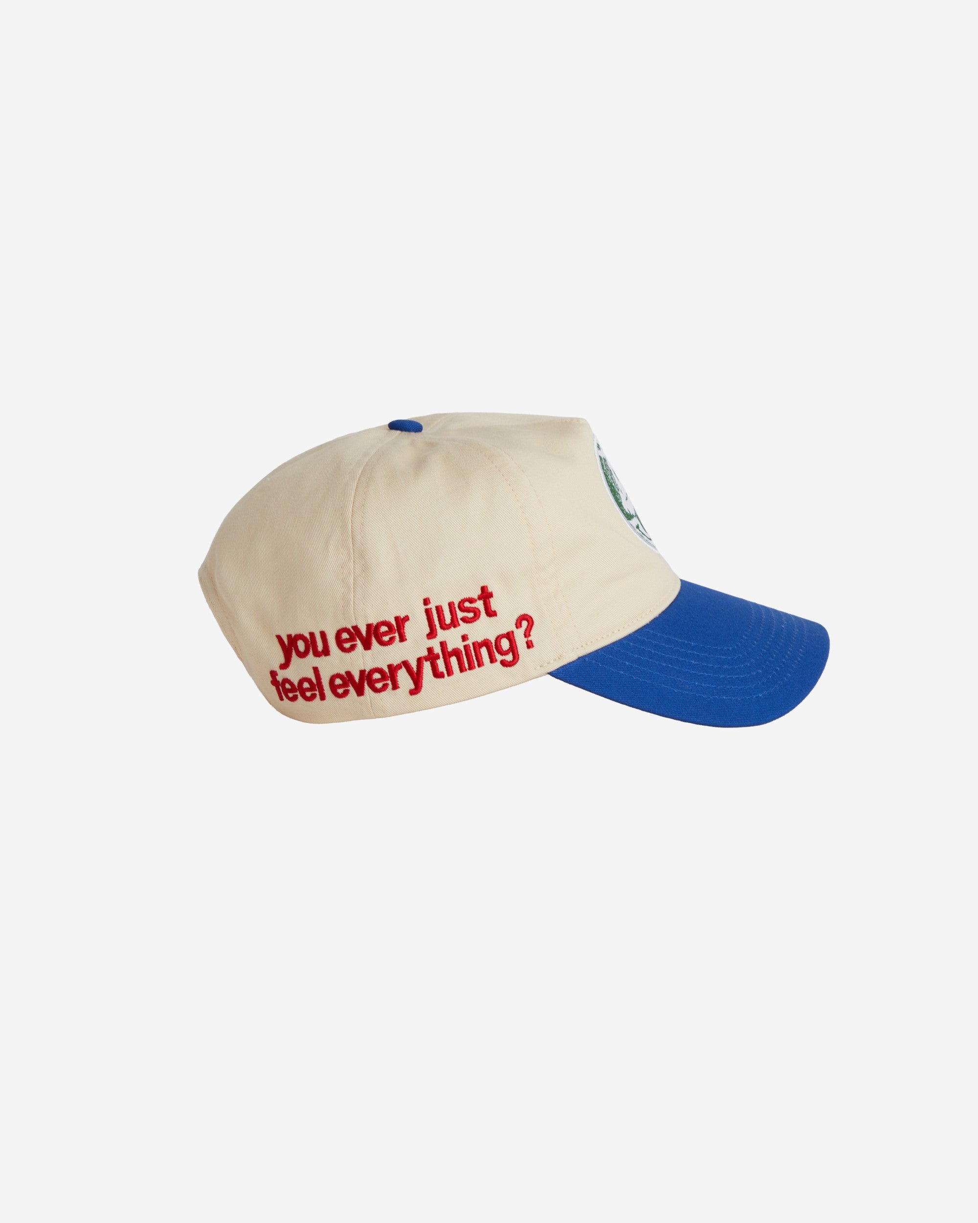 Feel Everything Hat