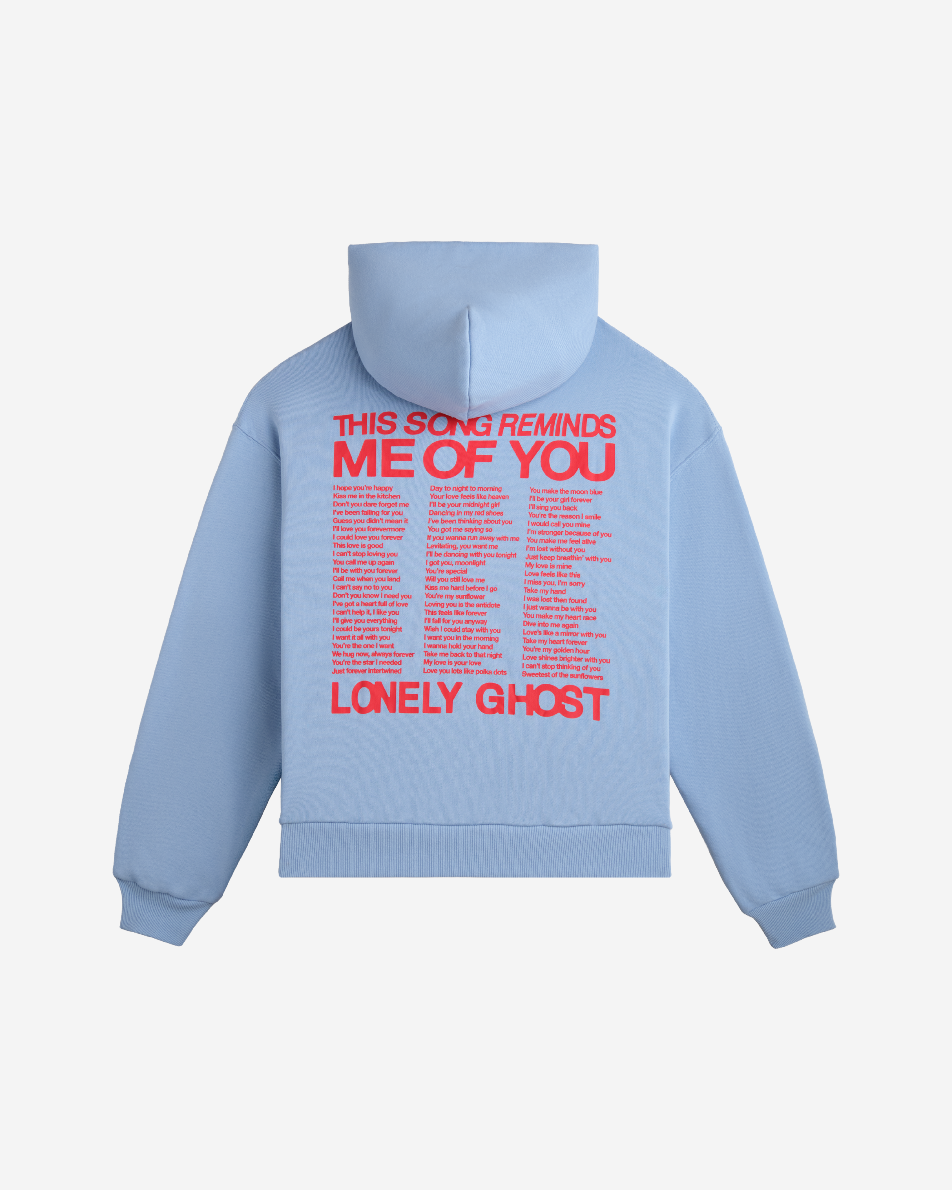 This Song Reminds Me of You Zip Hoodie